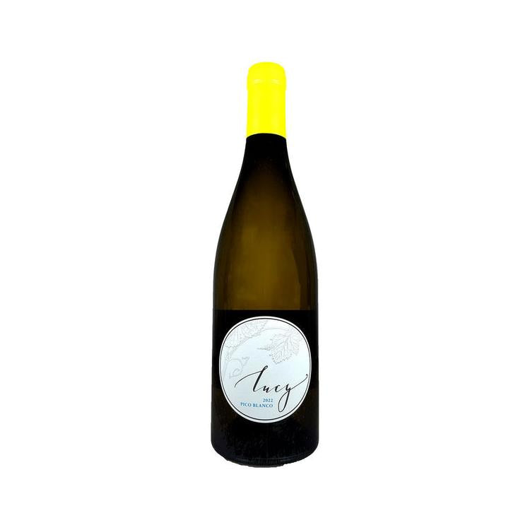Pisoni Estate 'Lucy' Pico Blanco (Monterey) ‘23