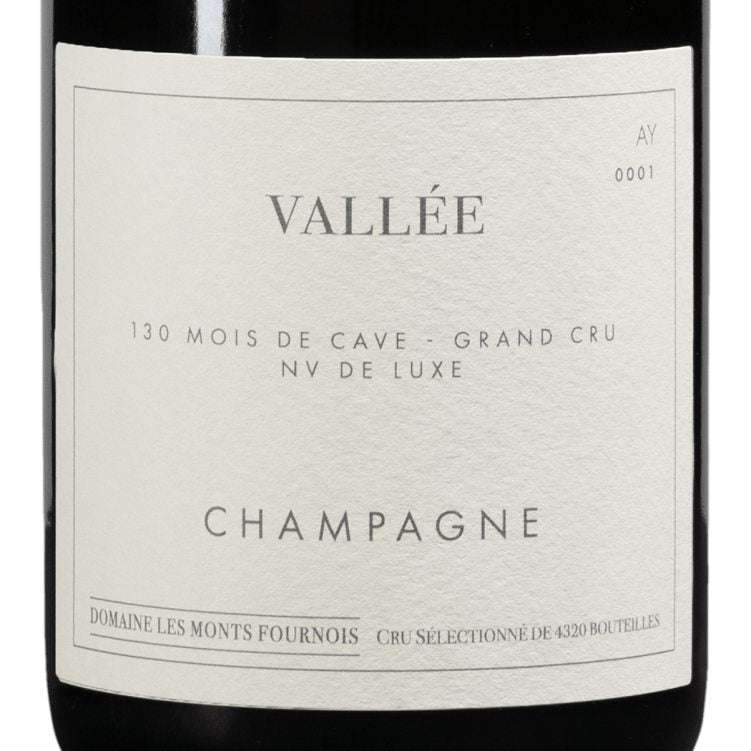 Domaine les Monts Fournois Vallee Grand Cru Ay '13