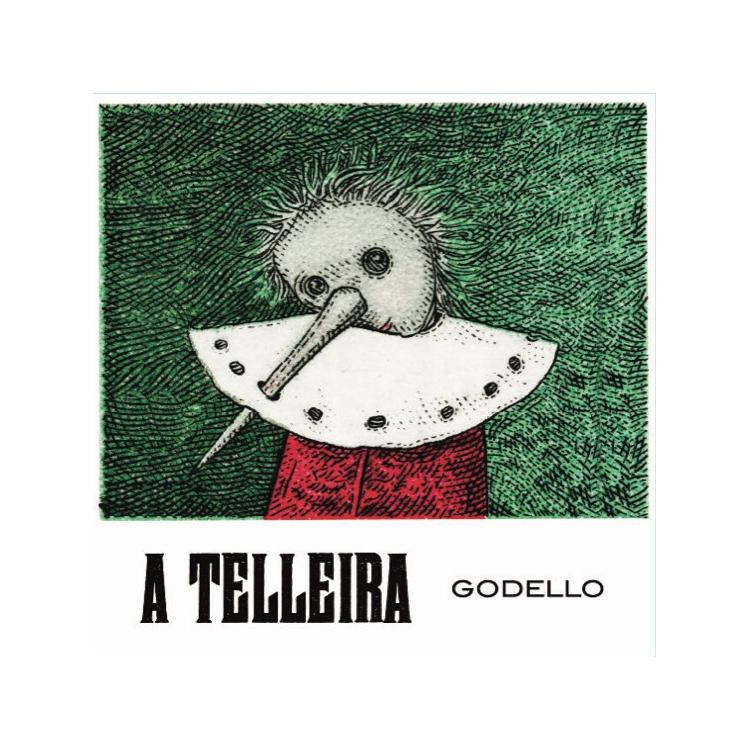 A Telleira Godello Ribeiro '23