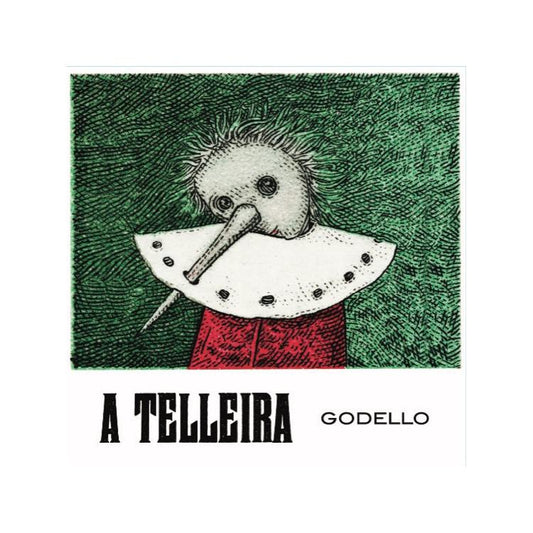 A Telleira Godello Ribeiro '24