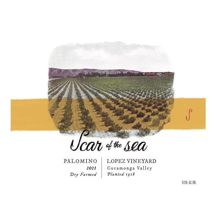 Scar of the Sea Old Vine Palomino Lopez Vineyard '24