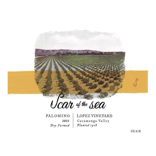 Scar of the Sea Old Vine Palomino Lopez Vineyard '24