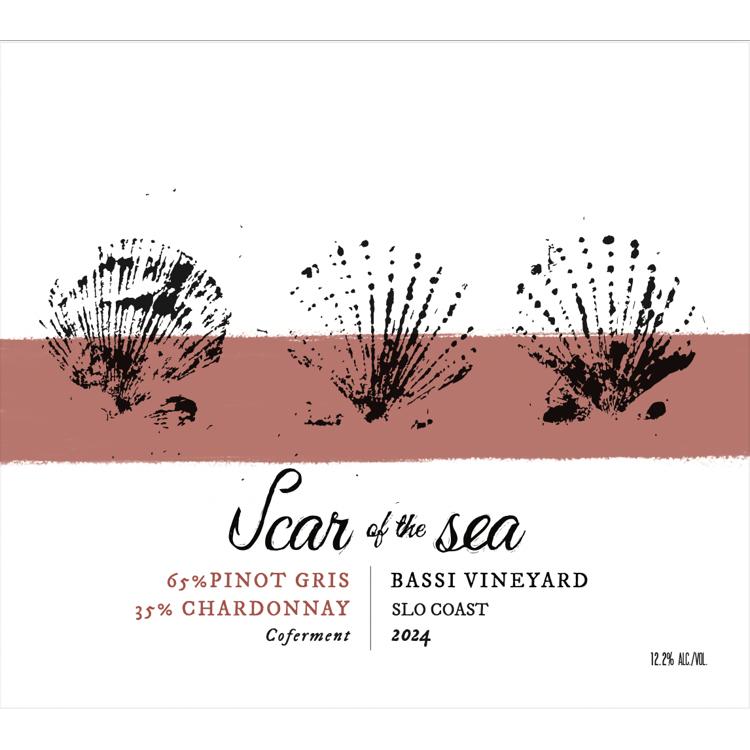 Scar of the Sea Bassi Vineyard Pinot Gris-Chardonnay Co-ferment (SLO Coast, CA) '24