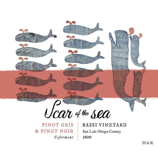 Scar of the Sea Bassi Vineyard Pinot Gris - Pinot Noir Co-ferment (SLO Coast, CA) '24