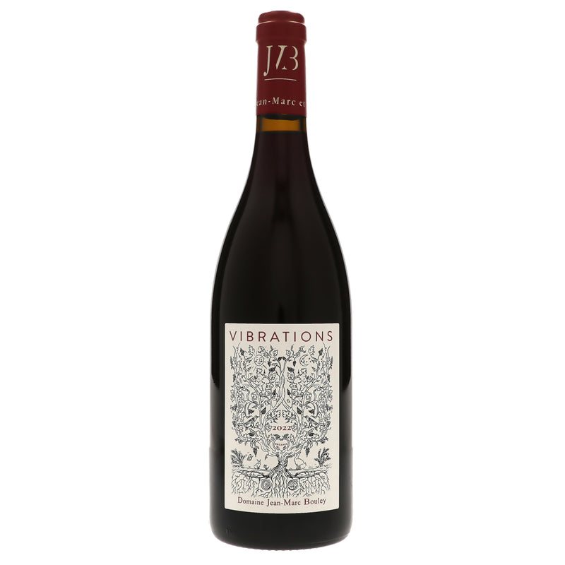 Dom Jean-Marc Bouley Bourgogne Aligote '23