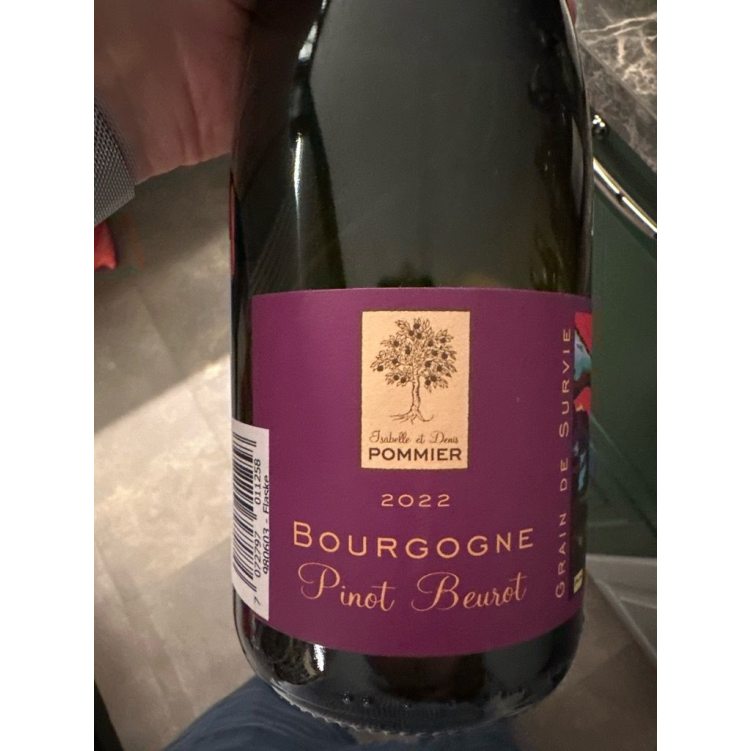 Isabelle & Denis Pommier Bourgogne Pinot Beurot '22
