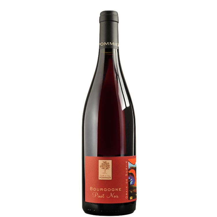 Isabelle & Denis Pommier Bourgogne Pinot Noir 'Grain de Survie' '22