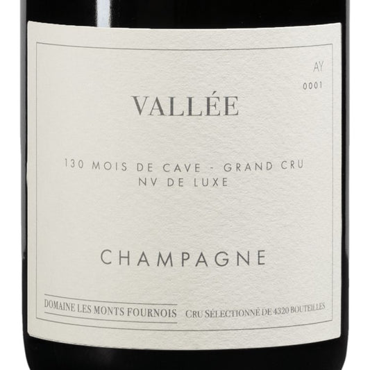 Domaine les Monts Fournois Vallee Grand Cru Ay '13